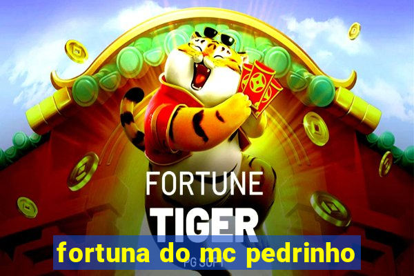 fortuna do mc pedrinho